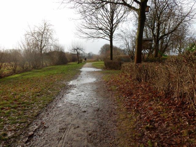 2017 01 04 Wege Kloster Dohren 4759
