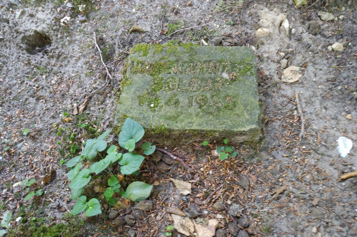 Friedhof 1