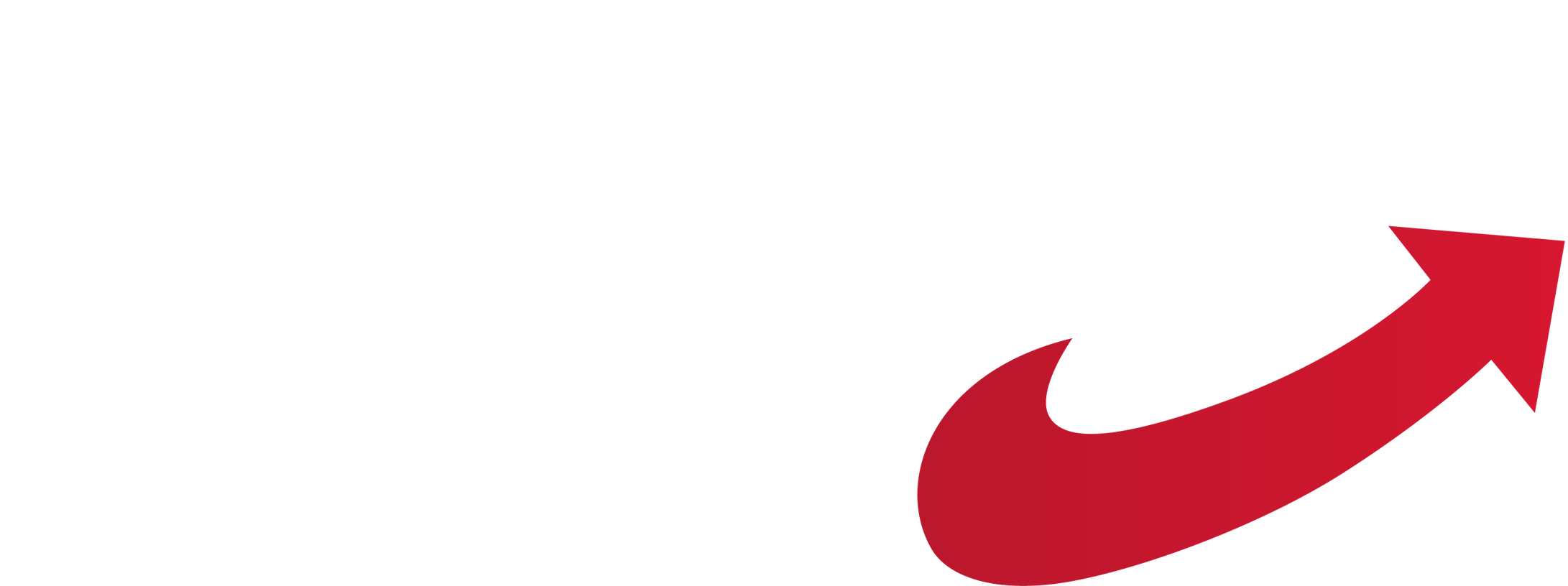 AfD Buxtehude